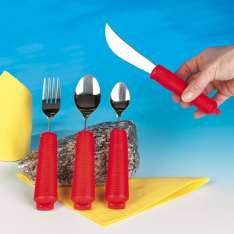 Alzheimer bestekset rood