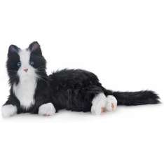 Interactieve kat voor ouderen | Joy for All | Zwart